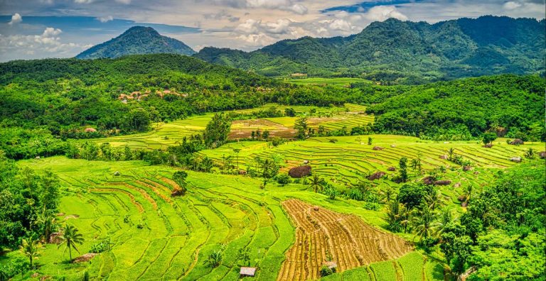 PasarMIKRO - Lanskap Indonesia Negara Agraris