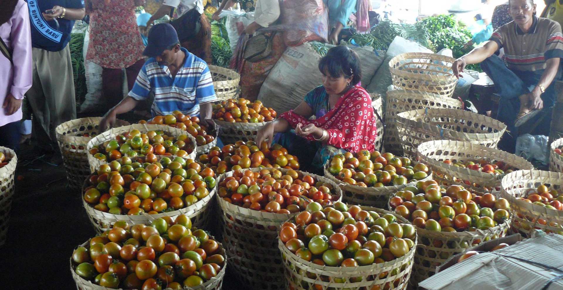 PasarMIKRO - Riset Pasar