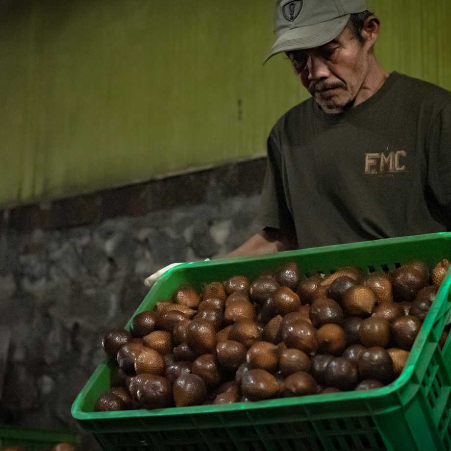 PasarMIKRO - Buah Salak Hasil Panen Ibu Erwantini