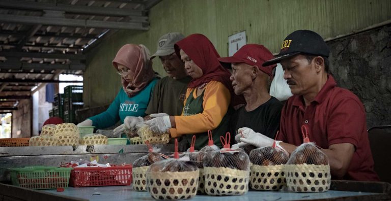 PasarMIKRO - Buah Salak Hasil Panen Ibu Erwantini