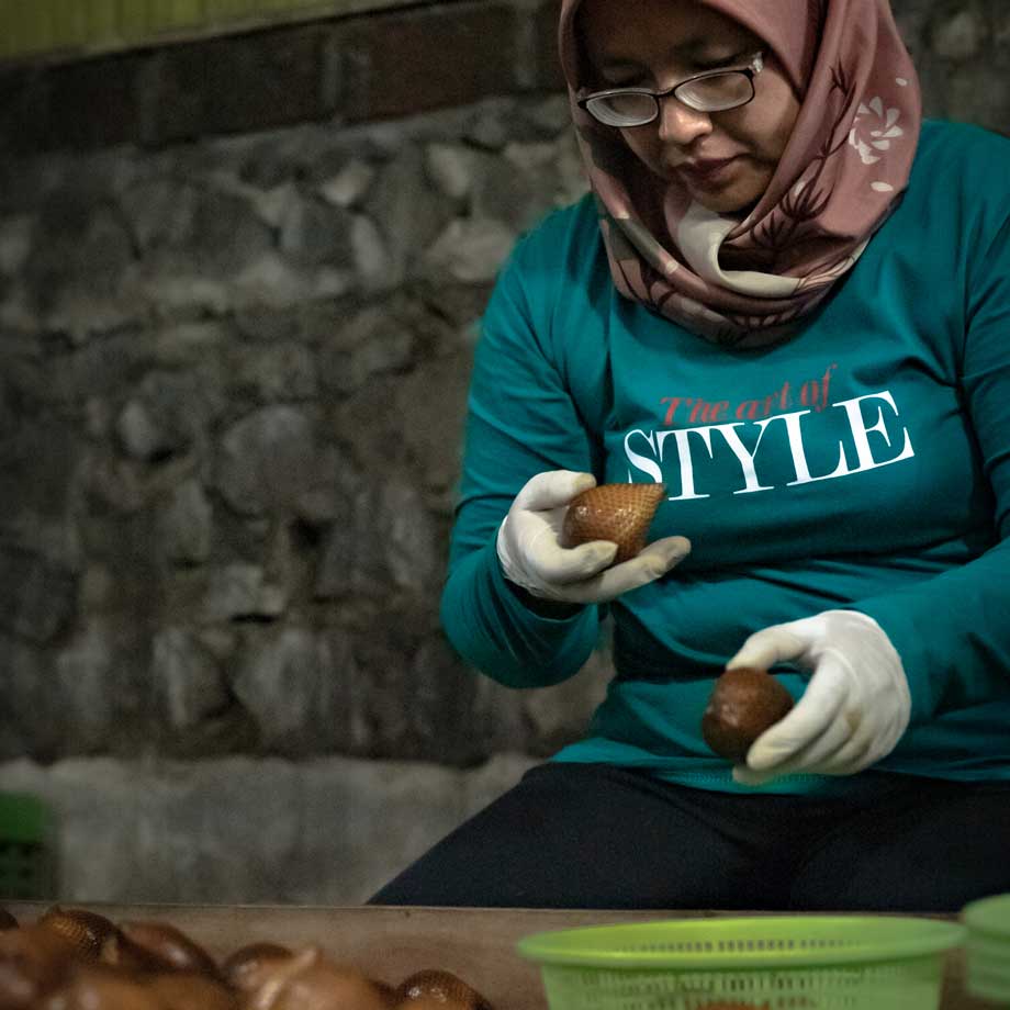 PasarMIKRO - Buah Salak Hasil Panen Ibu Erwantini