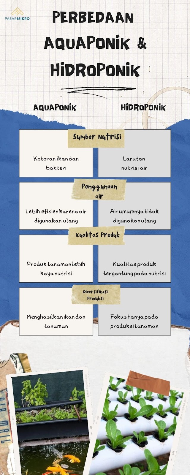 Perbedaan Aquaponik dan Hidroponik