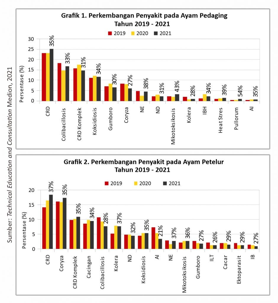 Perkembangan Penyakit Pada Ayam Pedaging Tahun 2019 - 2021