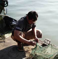 PasarMIKRO - Nelayan Indonesia